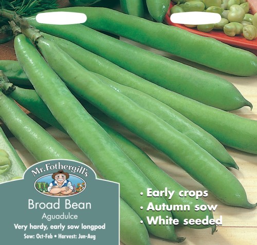 Bean Broad Aguadulce Seeds